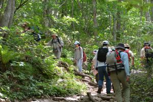 登山を楽しむ参加者3
