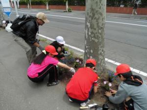 桑園小学校　花育