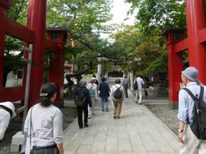 弥彦神社の境内を散策