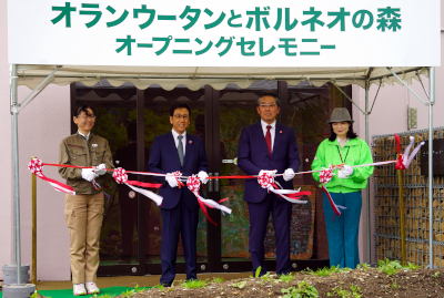 「オランウータンとボルネオの森」のオープニングセレモニーを開催しました