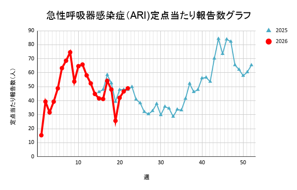 報告数