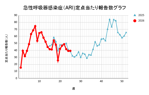 報告数