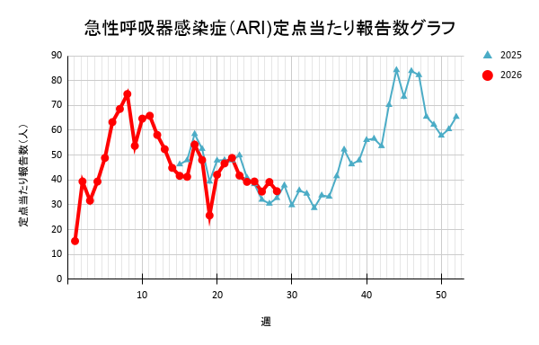 報告数