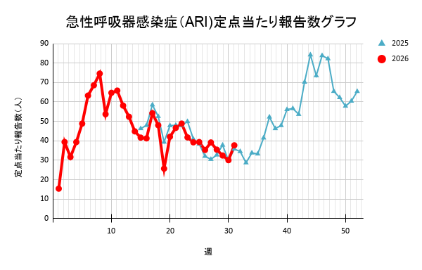 報告数