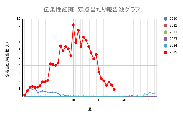 報告数