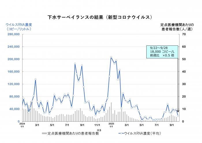 調査結果のグラフ（新型コロナウイルス）