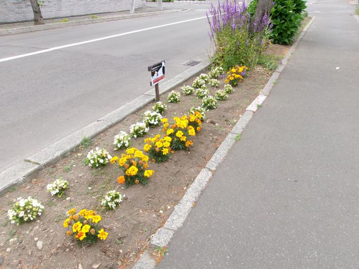 ます花壇の写真1