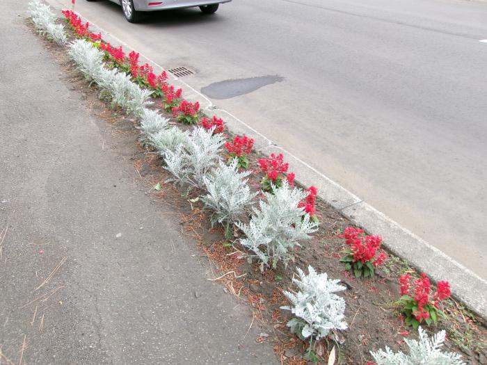 ます花壇の写真2