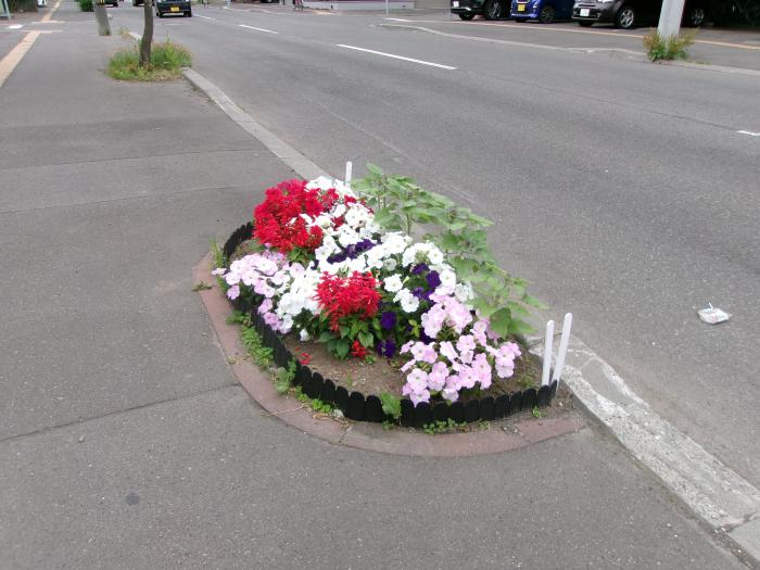 ます花壇の写真4