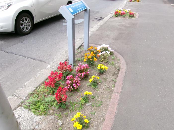 ます花壇の写真5