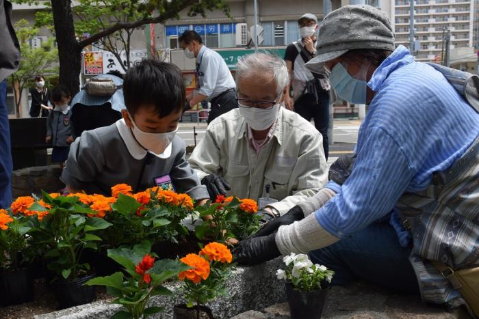 花を植える様子