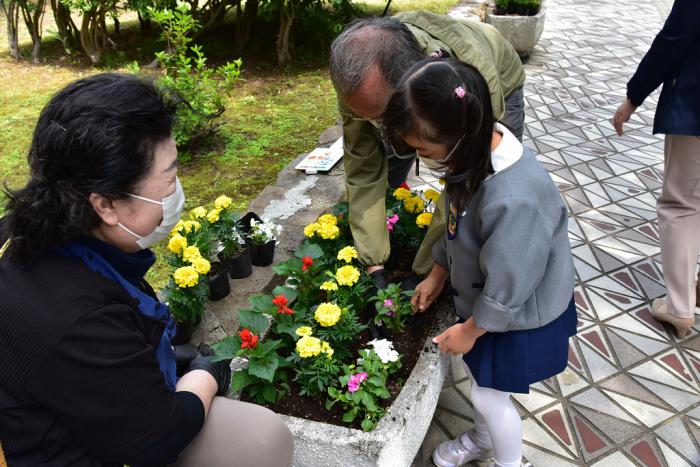 花を植える様子