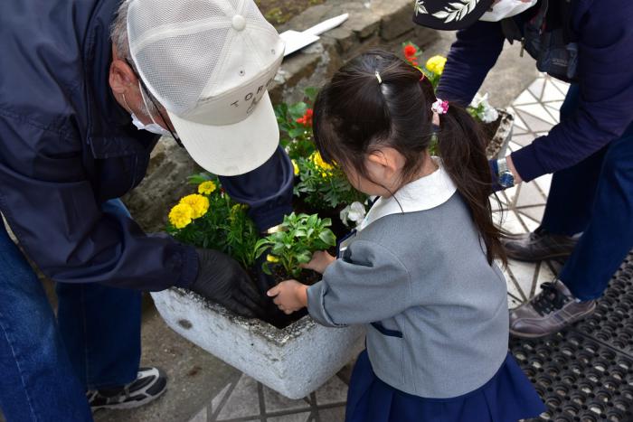 花を植える様子