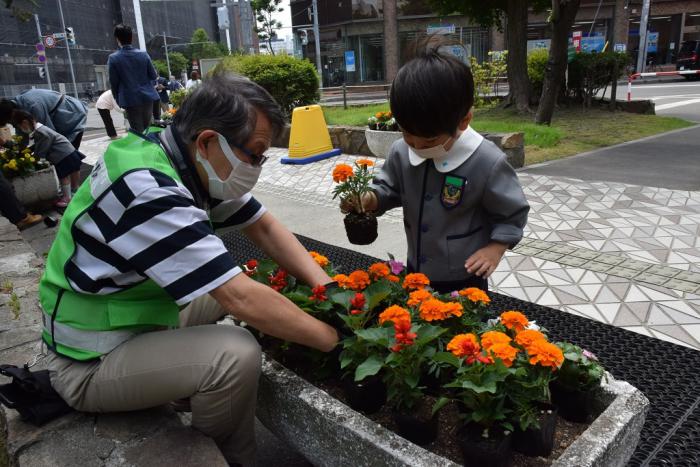 花を植える様子