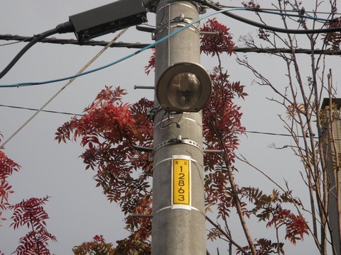 東区街路灯