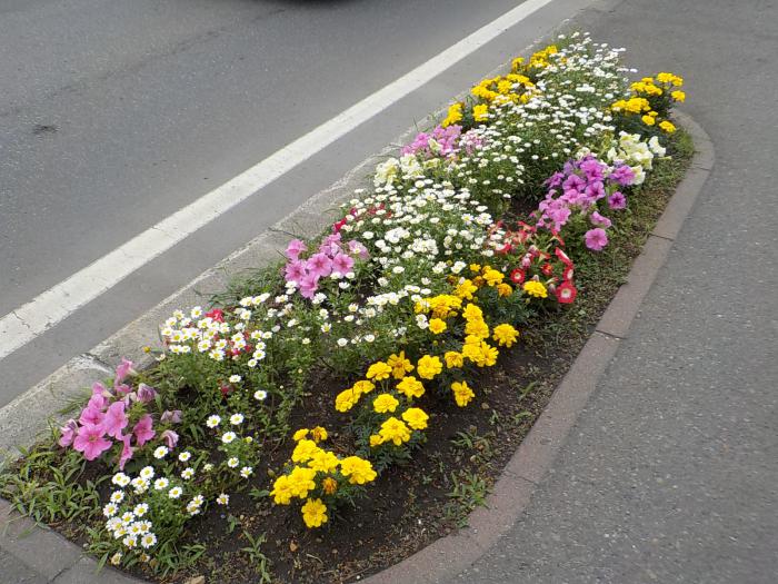 伏古第8町内会の花壇