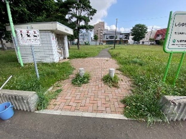 草刈り前の様子2