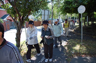 パープルロードの藤棚は、6月ごろが見ごろです