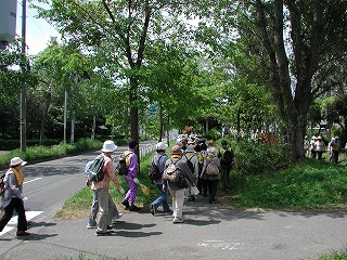 伏古公園