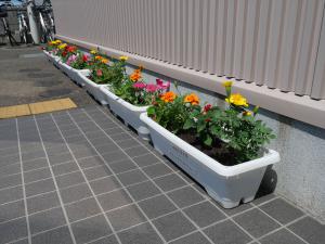 色とりどりの花たち（その2）