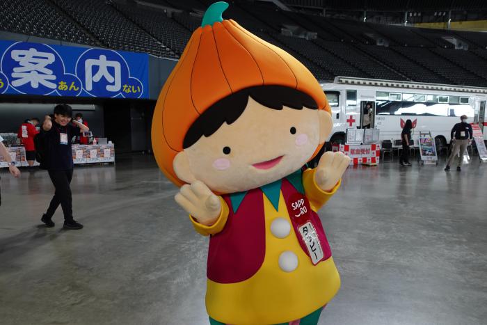 大ほっかいどう祭4