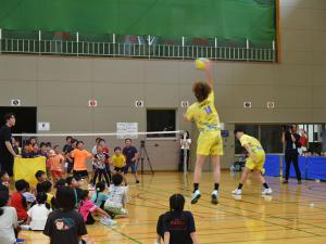 volleyballtaikenn2026_03
