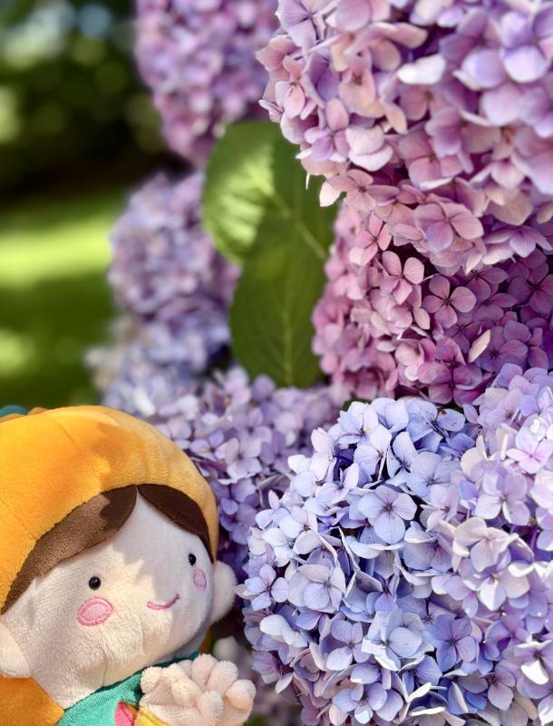 紫陽花を楽しむタッピー