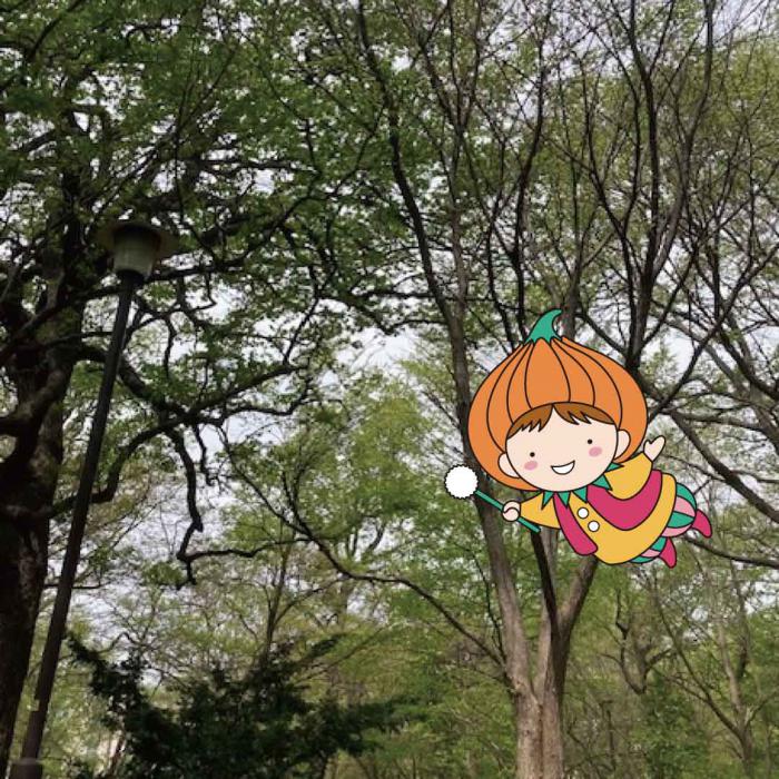 キ