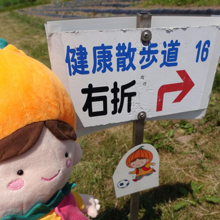 案内