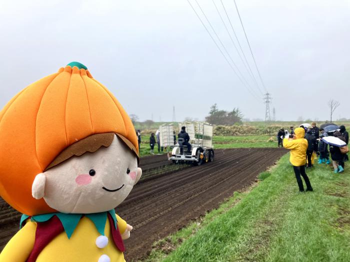 苗植えタッピー