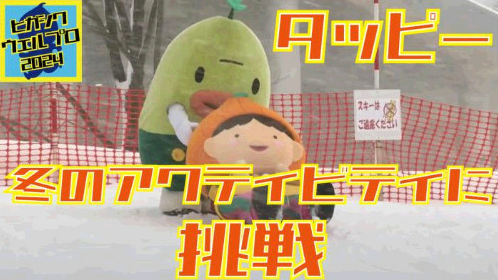 タッピーの動画のサムネ画像2