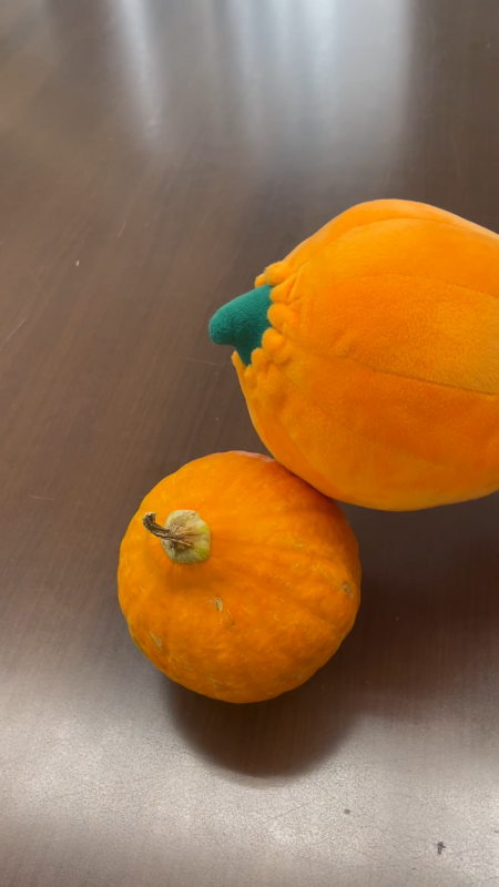 タッピーとコリンキー