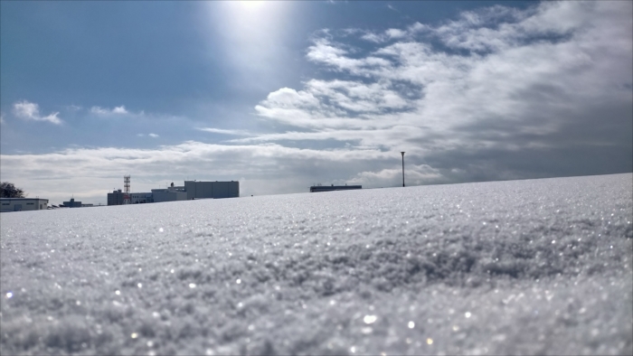 太陽で光り輝く