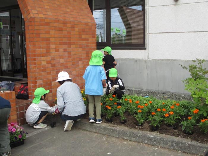 花植えの様子1