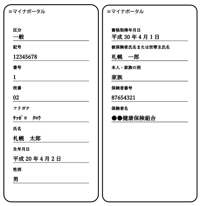 マイナポータル画面20241206