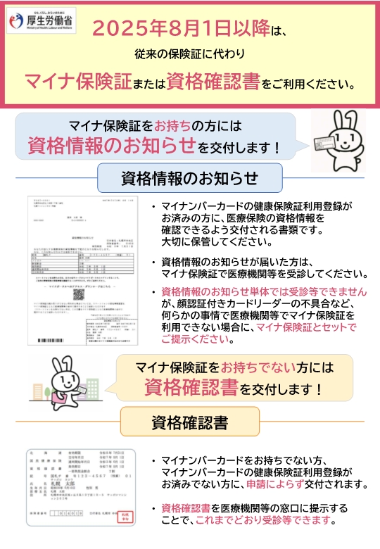 マイナチラシ（表）