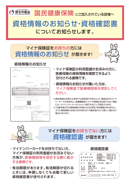 マイナチラシ表