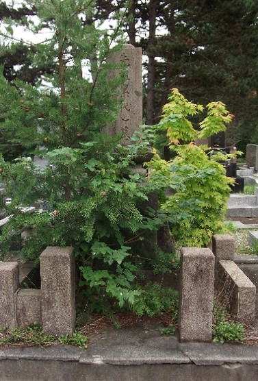 写真：草木が茂り無縁化が疑われる墓