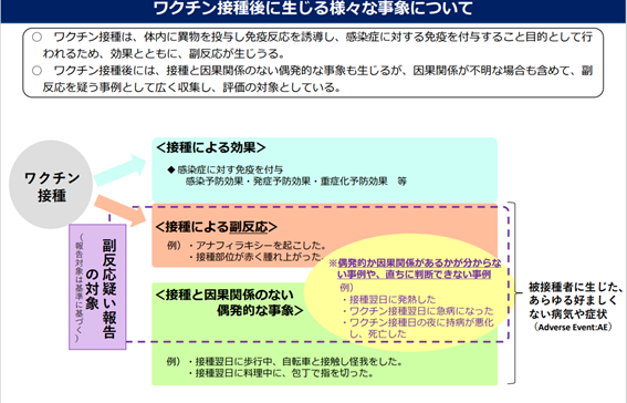 ワクチン接種後に生じる様々な事象について