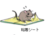 画像：粘着シート