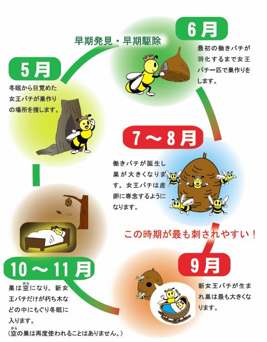 ハチに注意 ハチに刺されないために 札幌市