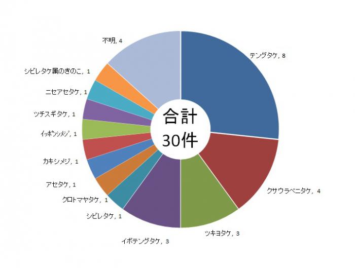 R6きのこ