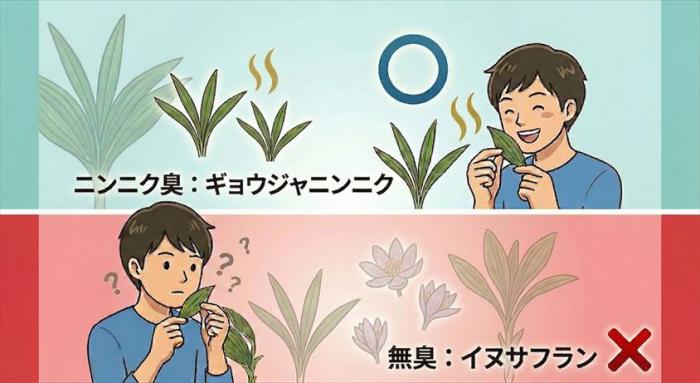 臭いを確認するのが判別に重要