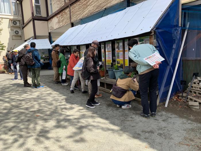 春の山菜展2025写真