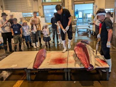 マグロ解体の様子