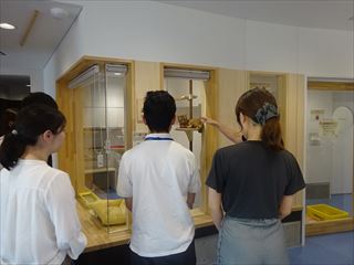 R7Vp動物愛護管理センター収監写真