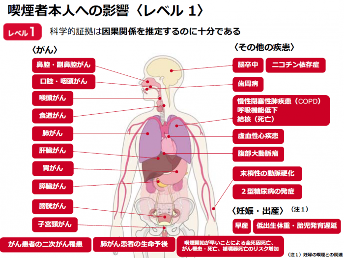 喫煙による健康影響レベル1