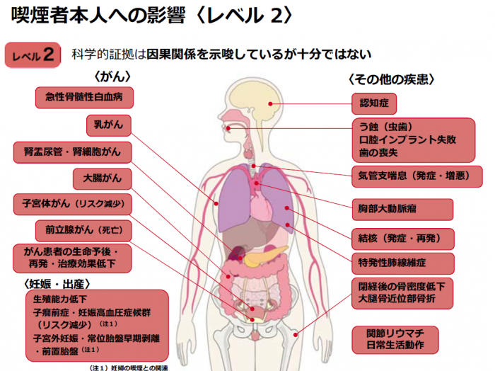 喫煙による健康影響レベル2