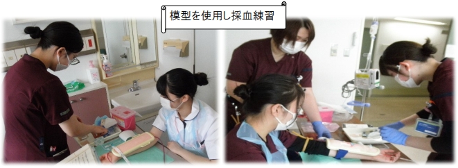 模型を使用し採血練習