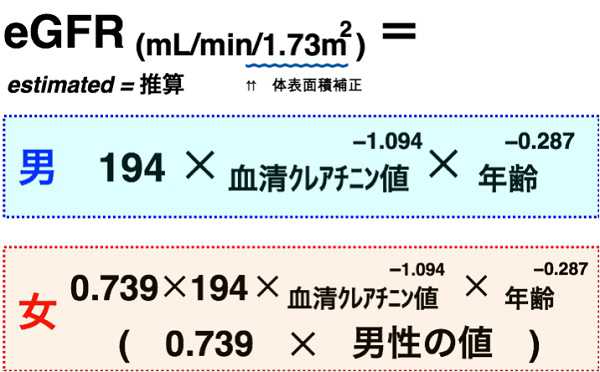 腎臓の働きgfr)を推算   高精度計算サイト